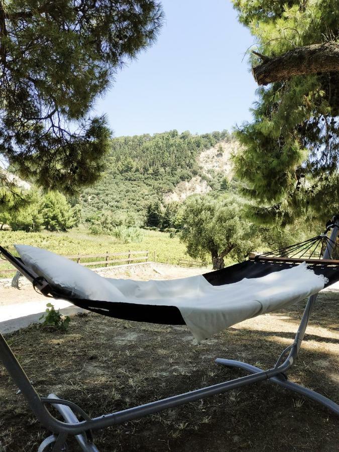 Villa Conifera Kota Zakynthos Bagian luar foto