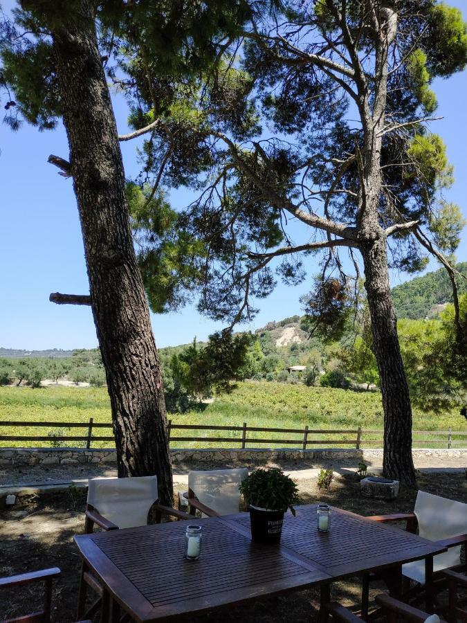 Villa Conifera Kota Zakynthos Bagian luar foto