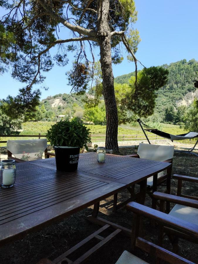 Villa Conifera Kota Zakynthos Bagian luar foto
